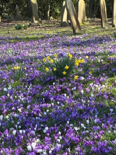 Spring 2026 Newsletter